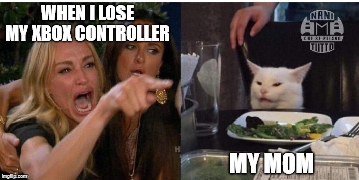 white cat table |  WHEN I LOSE MY XBOX CONTROLLER; MY MOM | image tagged in white cat table | made w/ Imgflip meme maker