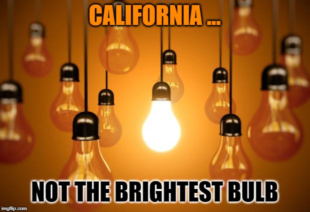 lightbulbs | CALIFORNIA ... NOT THE BRIGHTEST BULB | image tagged in lightbulbs | made w/ Imgflip meme maker