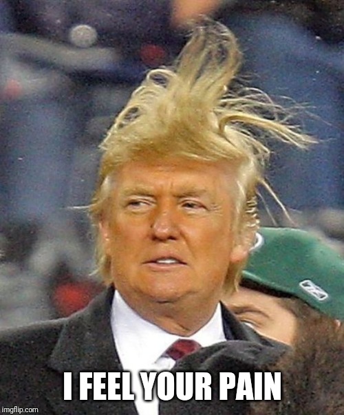 Donald Trumph hair | I FEEL YOUR PAIN | image tagged in donald trumph hair | made w/ Imgflip meme maker