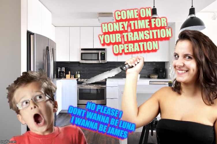 Crazy mother #savejames | COME ON HONEY TIME FOR YOUR TRANSITION OPERATION; COME ON HONEY TIME FOR YOUR TRANSITION OPERATION; NO PLEASE I DONT WANNA BE LUNA I WANNA BE JAMES; NO PLEASE I DONT WANNA BE LUNA I WANNA BE JAMES | image tagged in james | made w/ Imgflip meme maker