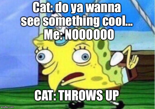 Mocking Spongebob | Cat: do ya wanna see something cool... Me: NOOOOOO; CAT: THROWS UP | image tagged in memes,mocking spongebob | made w/ Imgflip meme maker