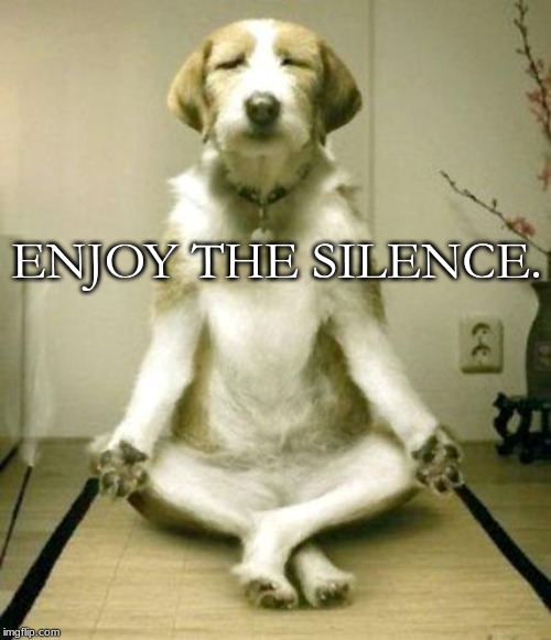 Inner Peace Dog | ENJOY THE SILENCE. | image tagged in inner peace dog | made w/ Imgflip meme maker