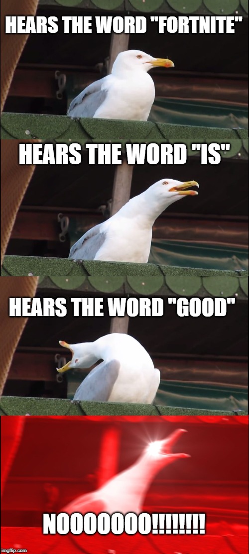 Inhaling Seagull | HEARS THE WORD "FORTNITE"; HEARS THE WORD "IS"; HEARS THE WORD "GOOD"; NOOOOOOO!!!!!!!! | image tagged in memes,inhaling seagull | made w/ Imgflip meme maker