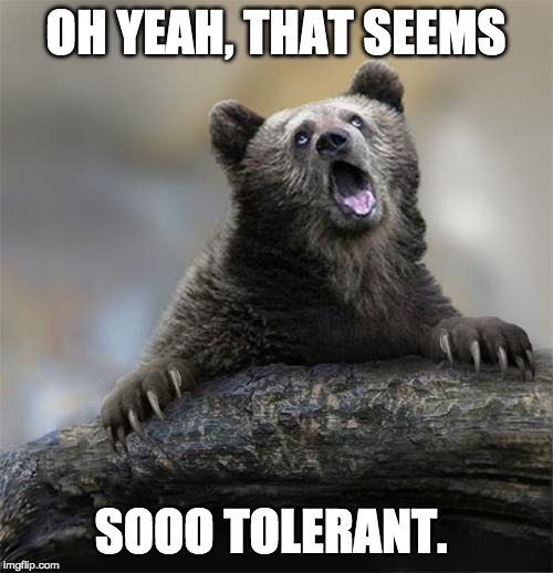 sarcastic bear | OH YEAH, THAT SEEMS SOOO TOLERANT. | image tagged in sarcastic bear | made w/ Imgflip meme maker