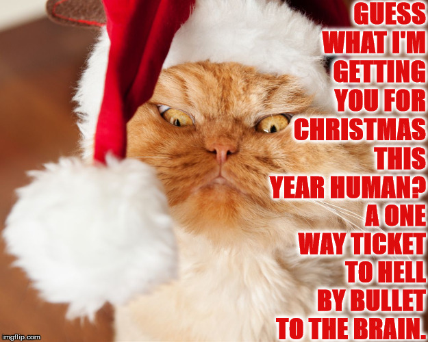 HELL TICKET | GUESS WHAT I'M GETTING YOU FOR CHRISTMAS THIS YEAR HUMAN? A ONE WAY TICKET TO HELL BY BULLET TO THE BRAIN. | image tagged in hell ticket | made w/ Imgflip meme maker