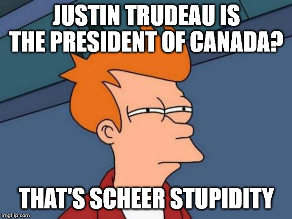 Scheer stupidity | JUSTIN TRUDEAU IS THE PRESIDENT OF CANADA? THAT'S SCHEER STUPIDITY | image tagged in futurama fry,meanwhile in canada | made w/ Imgflip meme maker