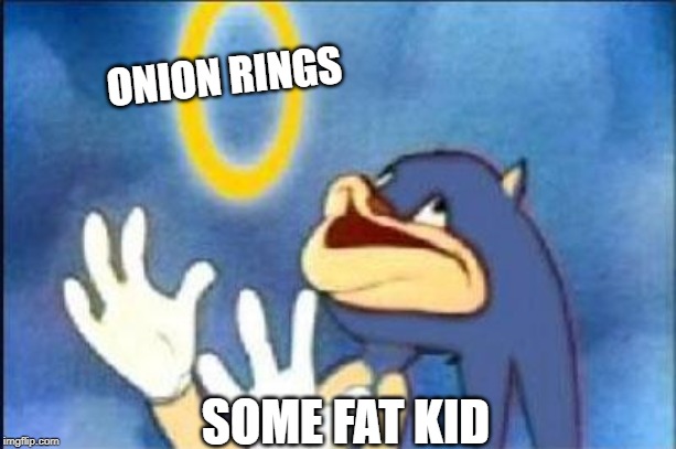 Sonic derp | ONION RINGS; SOME FAT KID | image tagged in sonic derp | made w/ Imgflip meme maker