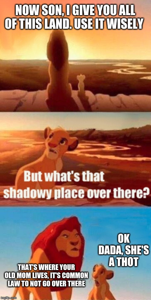 Simba Shadowy Place Meme |  NOW SON, I GIVE YOU ALL OF THIS LAND. USE IT WISELY; OK DADA, SHE'S A THOT; THAT'S WHERE YOUR OLD MOM LIVES, IT'S COMMON LAW TO NOT GO OVER THERE | image tagged in memes,simba shadowy place | made w/ Imgflip meme maker