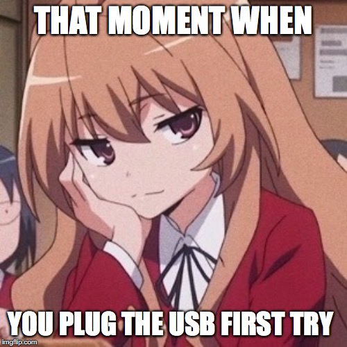 Taiga | THAT MOMENT WHEN; YOU PLUG THE USB FIRST TRY | image tagged in usb | made w/ Imgflip meme maker