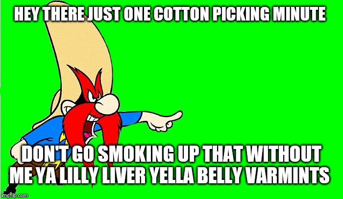 yosemite sam  | HEY THERE JUST ONE COTTON PICKING MINUTE DON'T GO SMOKING UP THAT WITHOUT ME YA LILLY LIVER YELLA BELLY VARMINTS | image tagged in yosemite sam | made w/ Imgflip meme maker