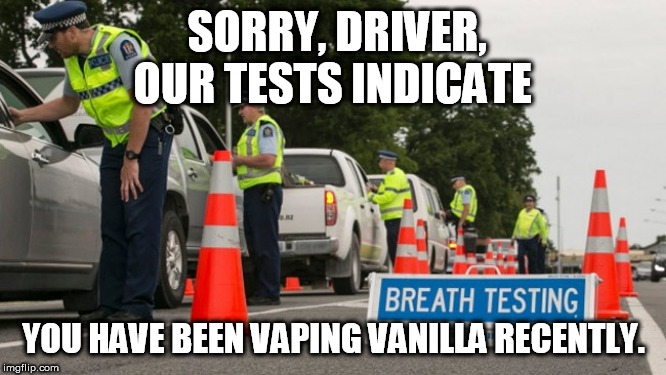 Vape cops nz | SORRY, DRIVER, OUR TESTS INDICATE; YOU HAVE BEEN VAPING VANILLA RECENTLY. | image tagged in vaping,police state | made w/ Imgflip meme maker