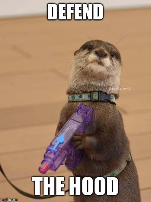 Otter with water gun | DEFEND; THE HOOD | image tagged in otter with water gun | made w/ Imgflip meme maker
