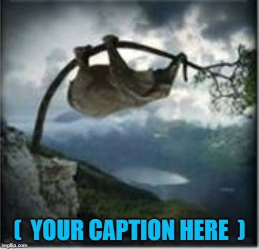 Upside Down World | (  YOUR CAPTION HERE  ) | image tagged in upside down world | made w/ Imgflip meme maker