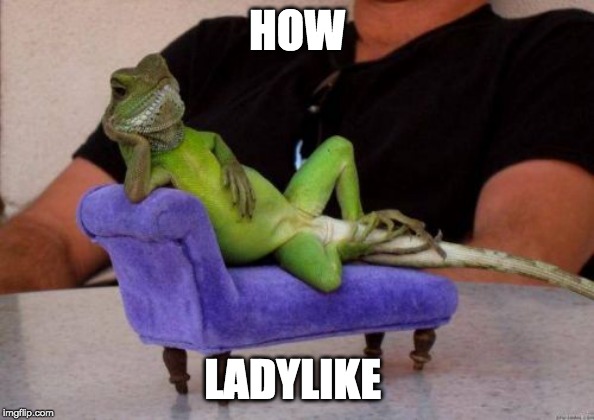 Sassy Iguana Meme | HOW LADYLIKE | image tagged in memes,sassy iguana | made w/ Imgflip meme maker