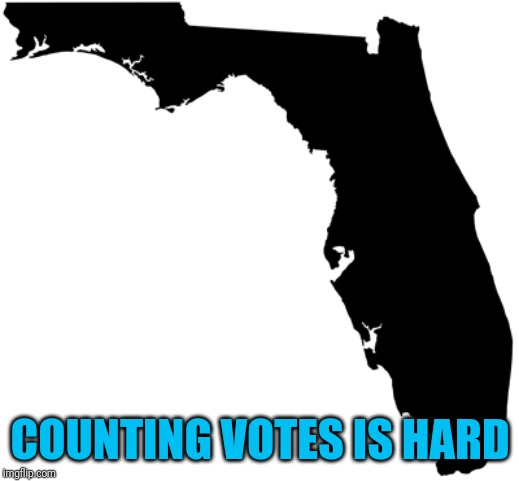 Florida | COUNTING VOTES IS HARD | image tagged in florida | made w/ Imgflip meme maker