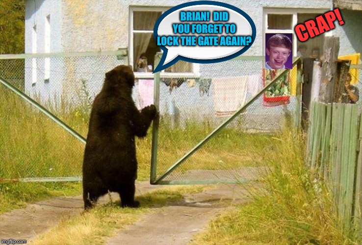 Have you heard the word of the bear? | CRAP! BRIAN!  DID YOU FORGET TO LOCK THE GATE AGAIN? | image tagged in bad luck brian,bear memes,memes,funny,jehovah's witness | made w/ Imgflip meme maker