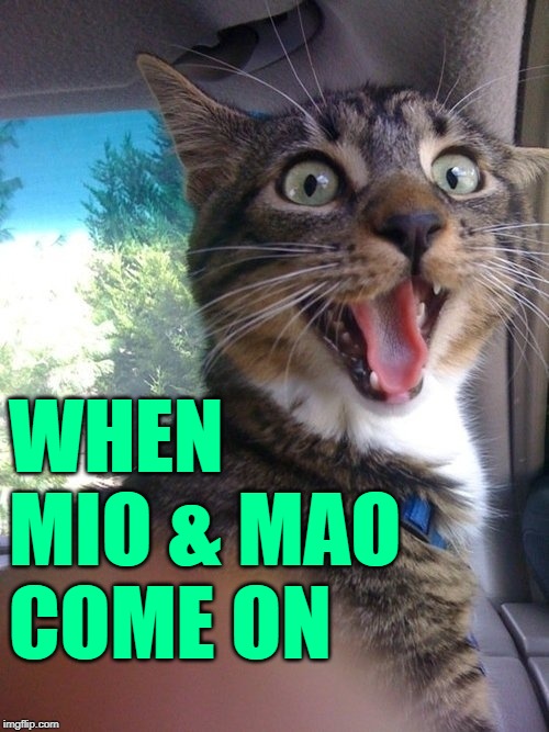 Mio & Mao Face | WHEN
MIO & MAO
COME ON | image tagged in excited cat,1970s,animation,television,cat memes,your face when | made w/ Imgflip meme maker