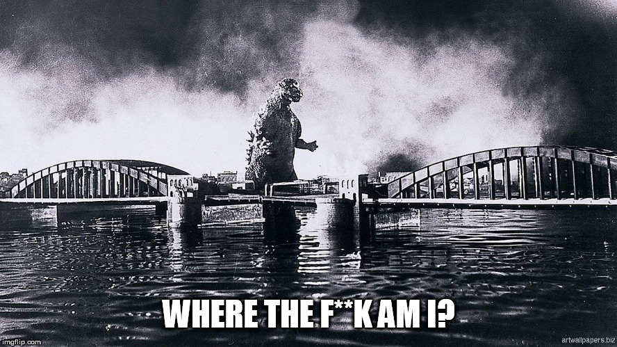 Godzilla | WHERE THE F**K AM I? | image tagged in godzilla | made w/ Imgflip meme maker