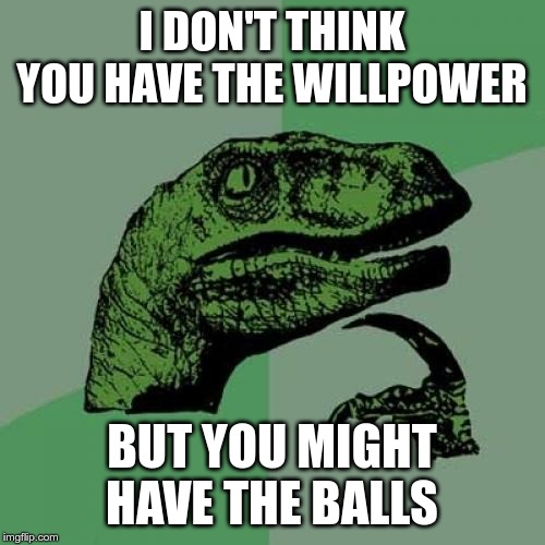 Philosoraptor Meme | I DON'T THINK YOU HAVE THE WILLPOWER BUT YOU MIGHT HAVE THE BALLS | image tagged in memes,philosoraptor | made w/ Imgflip meme maker