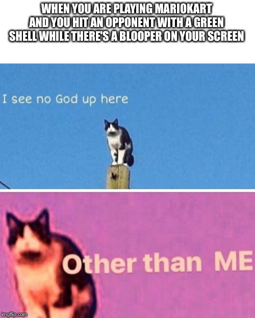 Hail pole cat | WHEN YOU ARE PLAYING MARIOKART AND YOU HIT AN OPPONENT WITH A GREEN SHELL WHILE THERE'S A BLOOPER ON YOUR SCREEN | image tagged in hail pole cat | made w/ Imgflip meme maker