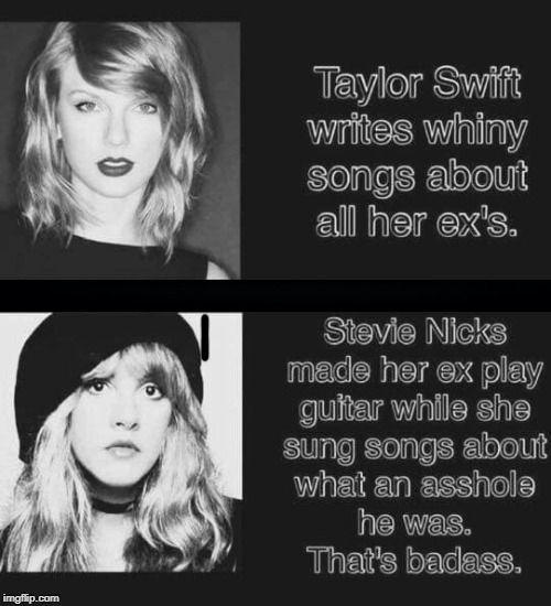 Taylor Is Not Very Swift | image tagged in taylor,stevie | made w/ Imgflip meme maker