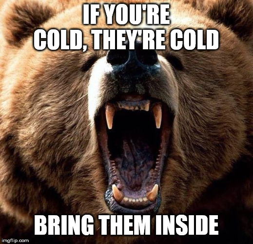Don't poke the bear  |  IF YOU'RE COLD, THEY'RE COLD; BRING THEM INSIDE | image tagged in don't poke the bear | made w/ Imgflip meme maker