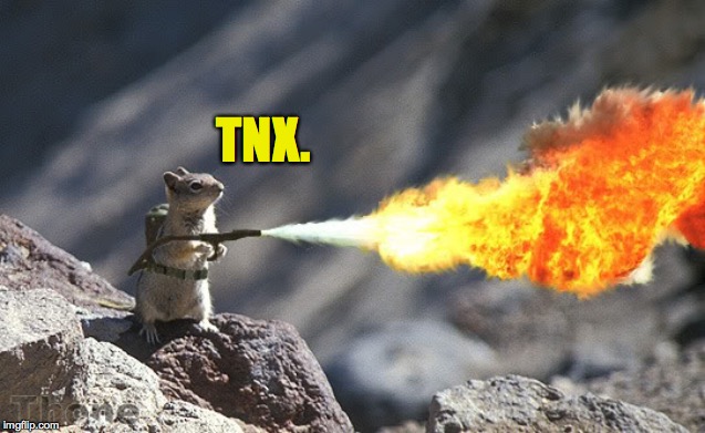 Squirrel With Flamethrower | TNX. | image tagged in squirrel with flamethrower | made w/ Imgflip meme maker
