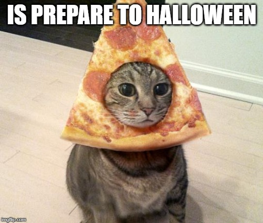 pizza cat | IS PREPARE TO HALLOWEEN | image tagged in pizza cat | made w/ Imgflip meme maker