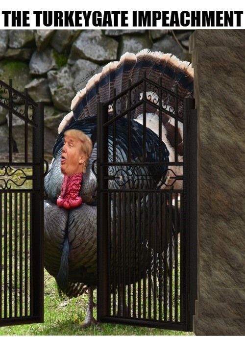 The TurkeyGate Impeachment Blank Meme Template