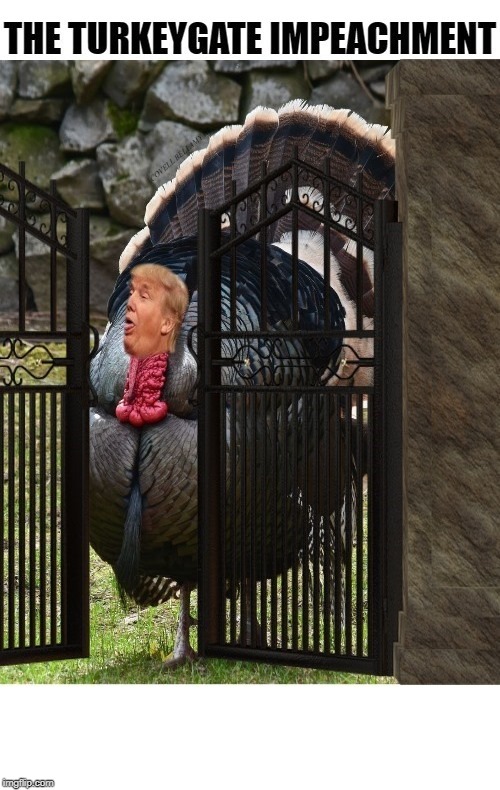 The TurkeyGate Impeachment | image tagged in the turkeygate impeachment | made w/ Imgflip meme maker