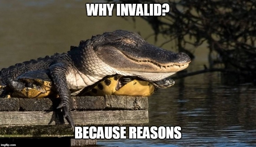 WHY INVALID? BECAUSE REASONS | made w/ Imgflip meme maker