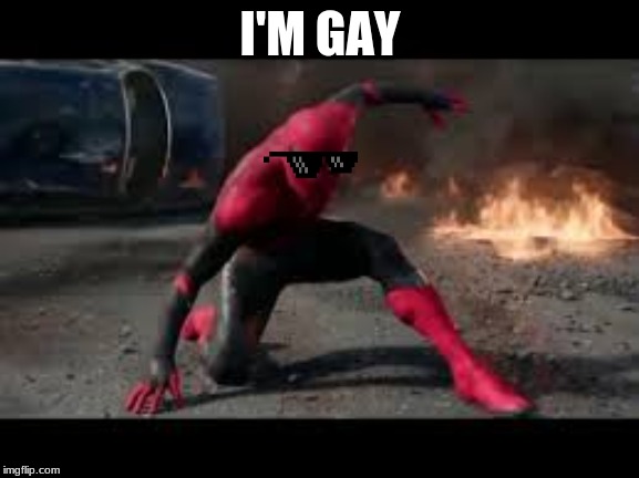 The gay spider | I'M GAY | image tagged in funny memes | made w/ Imgflip meme maker