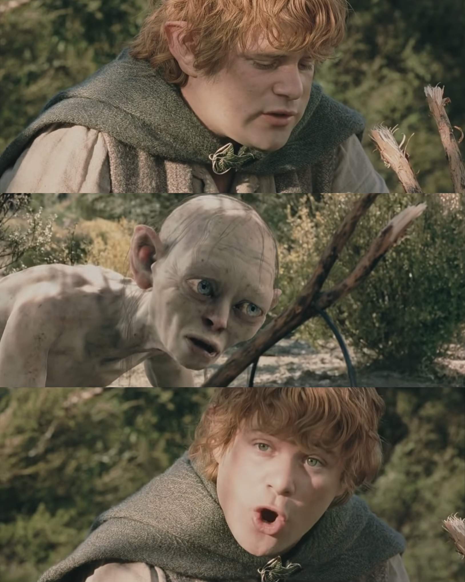 Lotr Meme Templates