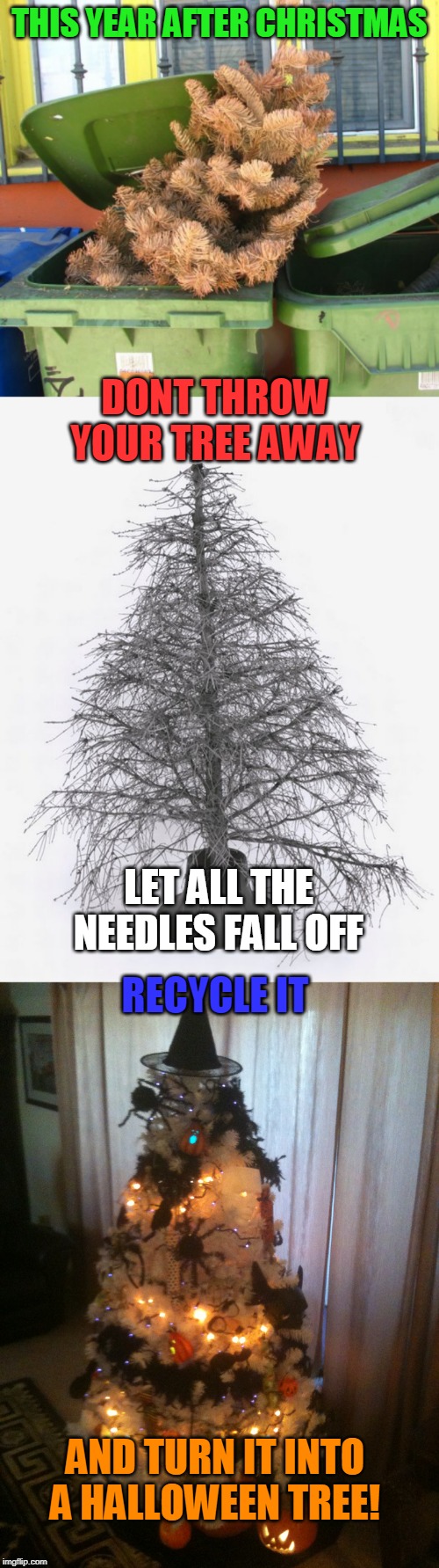 COVER IT WITH SPIDER WEB OR HALLOWEEN GARLAND | THIS YEAR AFTER CHRISTMAS; DONT THROW YOUR TREE AWAY; LET ALL THE NEEDLES FALL OFF; RECYCLE IT; AND TURN IT INTO A HALLOWEEN TREE! | image tagged in christmas tree,halloween,spooktober,halloween tree | made w/ Imgflip meme maker
