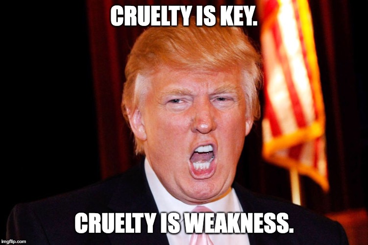 Funny Donald Trump | CRUELTY IS KEY. CRUELTY IS WEAKNESS. | image tagged in funny donald trump | made w/ Imgflip meme maker