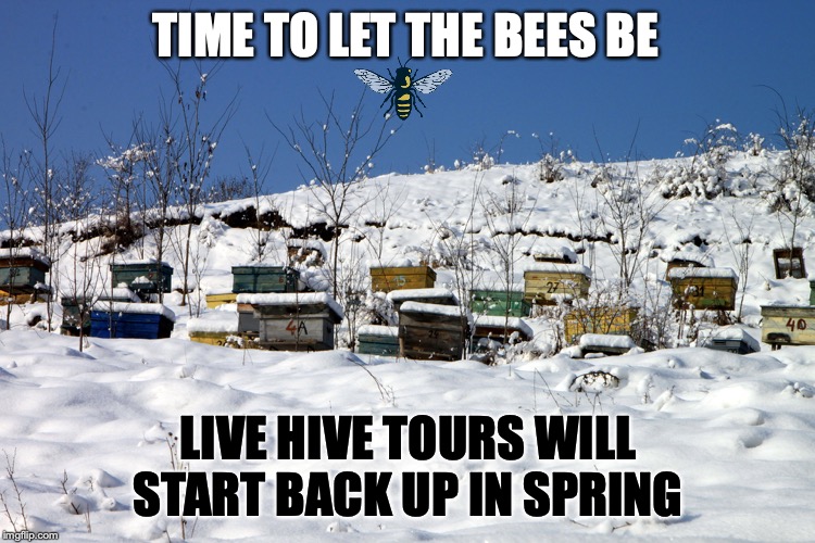 time to let the bees be | TIME TO LET THE BEES BE; LIVE HIVE TOURS WILL START BACK UP IN SPRING | image tagged in beekeeping,honeybees,texasbees,hive tours | made w/ Imgflip meme maker