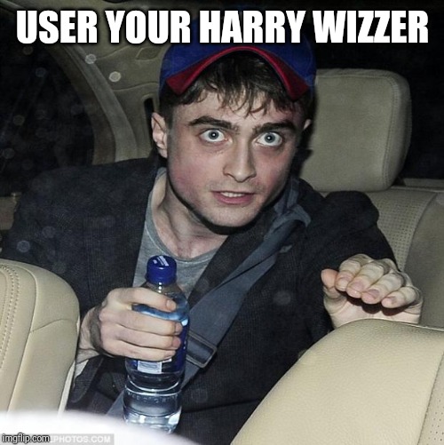 harry potter crazy | USER YOUR HARRY WIZZER | image tagged in harry potter crazy | made w/ Imgflip meme maker