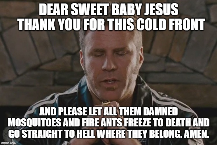 Finally Fall | DEAR SWEET BABY JESUS
  THANK YOU FOR THIS COLD FRONT; AND PLEASE LET ALL THEM DAMNED MOSQUITOES AND FIRE ANTS FREEZE TO DEATH AND GO STRAIGHT TO HELL WHERE THEY BELONG. AMEN. | image tagged in ricky bobby praying,texas | made w/ Imgflip meme maker
