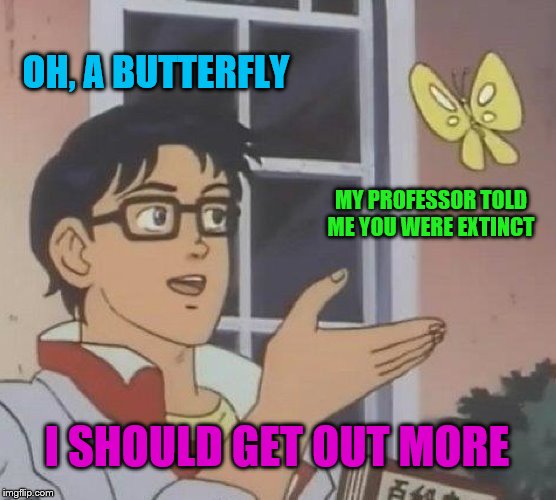 Is This A Pigeon | OH, A BUTTERFLY; MY PROFESSOR TOLD ME YOU WERE EXTINCT; I SHOULD GET OUT MORE | image tagged in memes,is this a pigeon | made w/ Imgflip meme maker