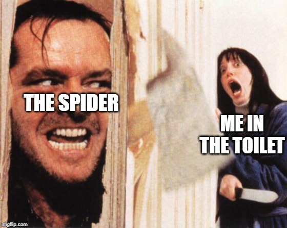 in toilet | THE SPIDER; ME IN THE TOILET | image tagged in here's jonny | made w/ Imgflip meme maker