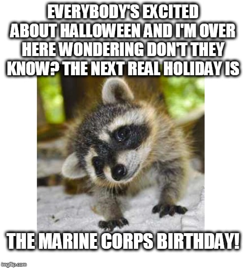 I thought'cha knew... |  EVERYBODY'S EXCITED ABOUT HALLOWEEN AND I'M OVER HERE WONDERING DON'T THEY KNOW? THE NEXT REAL HOLIDAY IS; THE MARINE CORPS BIRTHDAY! | image tagged in marine corps birthday,raccoon,marines | made w/ Imgflip meme maker