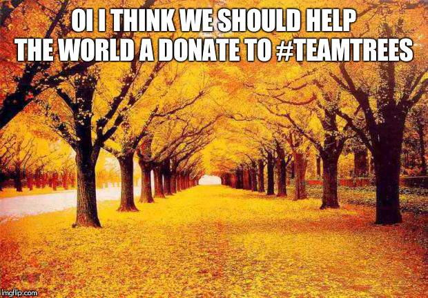 Autumn trees | OI I THINK WE SHOULD HELP THE WORLD A DONATE TO #TEAMTREES | image tagged in autumn trees | made w/ Imgflip meme maker