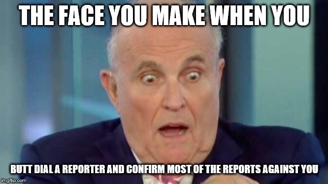 Rudy G Face | THE FACE YOU MAKE WHEN YOU; BUTT DIAL A REPORTER AND CONFIRM MOST OF THE REPORTS AGAINST YOU | image tagged in rudy g face | made w/ Imgflip meme maker