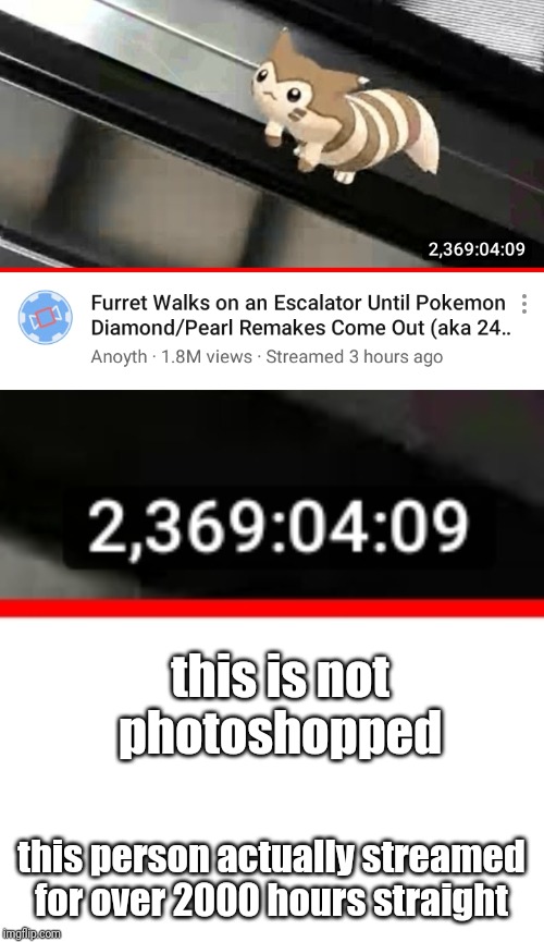this is not photoshopped; this person actually streamed for over 2000 hours straight | image tagged in blank white template,memes,youtube,furret | made w/ Imgflip meme maker