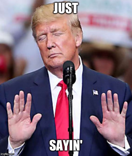 "Just Sayin"
      - Donald Trump | JUST; SAYIN' | image tagged in donald trump,funny,sarcasm,just sayin' | made w/ Imgflip meme maker