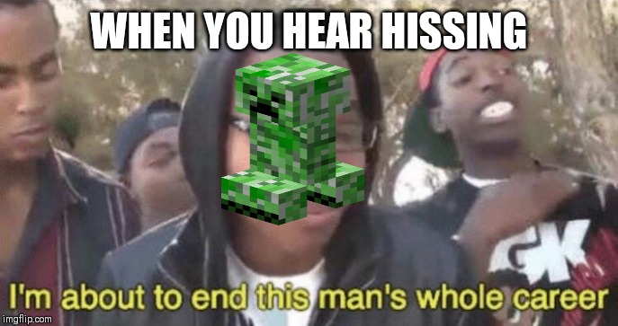 I’m about to end this man’s whole career | WHEN YOU HEAR HISSING | image tagged in im about to end this mans whole career | made w/ Imgflip meme maker