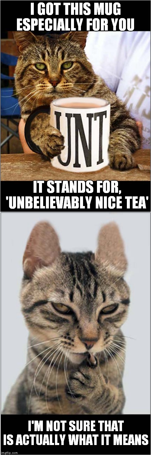 Especially For You ! | I GOT THIS MUG ESPECIALLY FOR YOU; IT STANDS FOR, 'UNBELIEVABLY NICE TEA'; I'M NOT SURE THAT IS ACTUALLY WHAT IT MEANS | image tagged in fun,cats | made w/ Imgflip meme maker