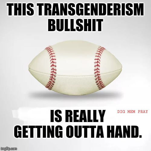 Tranny Nation Infects Us All | THIS TRANSGENDERISM BULLSHIT; IS REALLY GETTING OUTTA HAND. DIG MEM PRAY | image tagged in transgender,tranny,stupid liberals,progressives,lgbtq,leftists | made w/ Imgflip meme maker