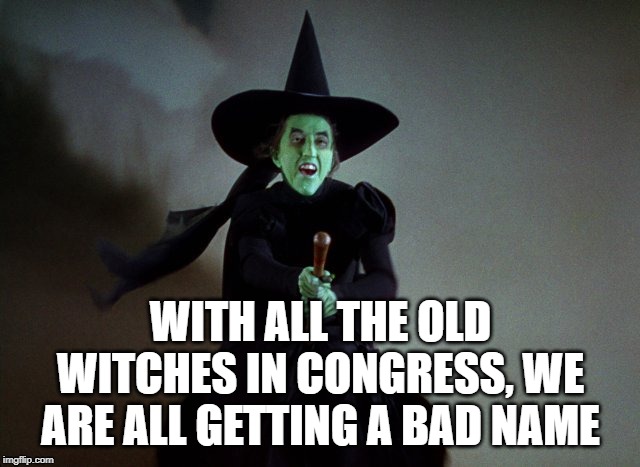 Congress woman | WITH ALL THE OLD WITCHES IN CONGRESS, WE ARE ALL GETTING A BAD NAME | image tagged in wicked witch,witches,congress,nancy pelosi | made w/ Imgflip meme maker