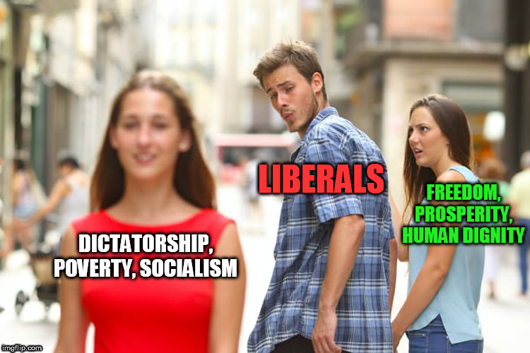 Liberals are psychotic, petulant children that can vote | LIBERALS; FREEDOM, PROSPERITY, HUMAN DIGNITY; DICTATORSHIP, POVERTY, SOCIALISM | image tagged in memes,distracted boyfriend | made w/ Imgflip meme maker